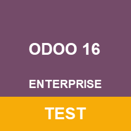 Odoo 16.0 Enterprise Test